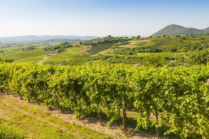 The Original Private Prosecco Tour All Inclusive From Conegliano - Start Time