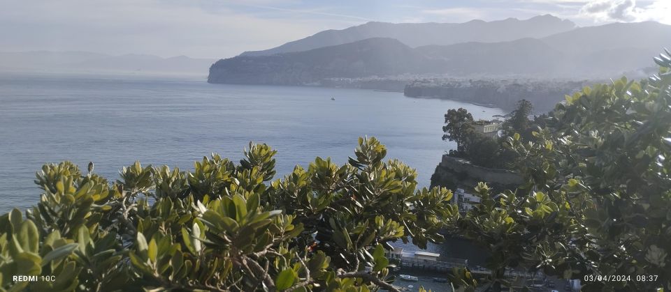 Tour Di Positano Sorrento and Pompeii From Naples - Why Choose This Tour