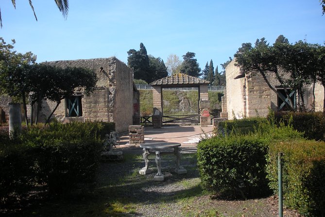 Tour in the Ruins of Herculaneum With an Archaeologist - Booking Information