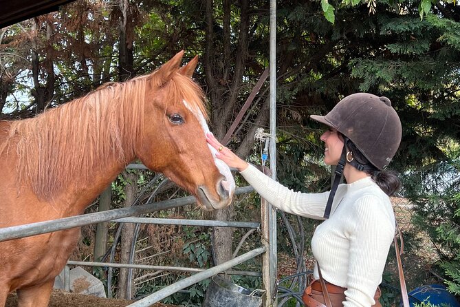 Tuscan Chianti Hills Horseback Riding Tour - Participant Requirements