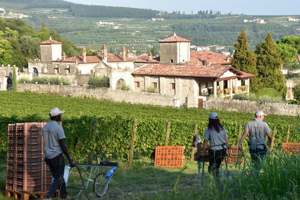 Veneto: Amarone Cooking and Tasting Experience in a Villa - Language and Pickup