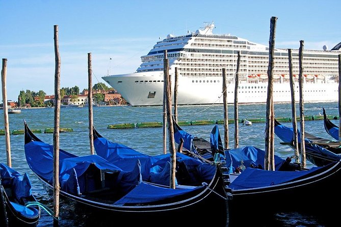 Venice Private Arrival Transfer by Water Taxi: Cruise Port to Central Venice - Luggage Restrictions and Accommodations