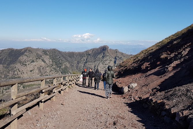 Vesuvius: Half Day Trip From Naples - Reviews Summary