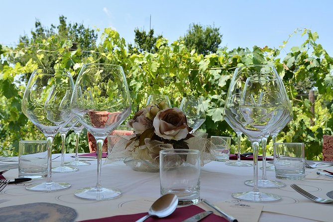 Vineyard Walk & Wine Tasting in Tuscany - Gourmet Lunch Offerings