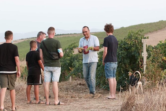 Wine Tour in the Historic Baglio Florio Adamo With Lunch - Pickup Information