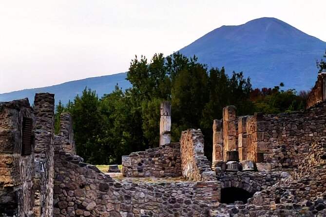 2 Hours Private Tour in Pompeii With Archaeologist - Accessibility and Transportation