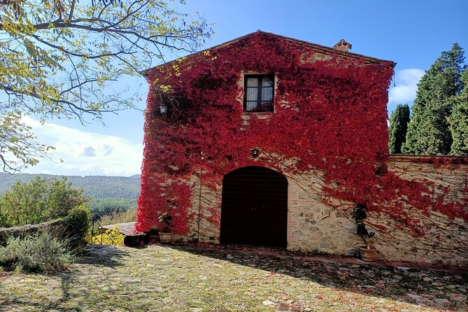 Afternoon Semi Private Chianti Tour From Siena - Traveler Experiences