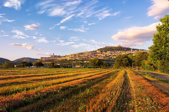 Assisi Best Highlights a Private Tour With Licensed Tour Guide - Cancellation Policy