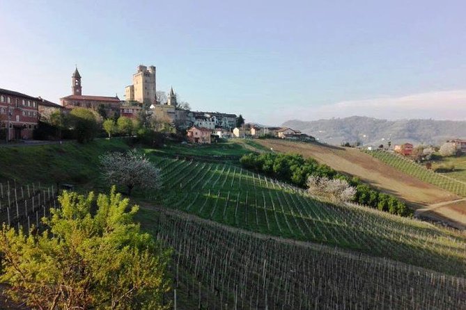 Barolo Wine and Food Tasting at Piedmont Region Winery - Transportation and Logistics