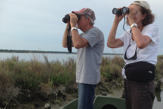 Birdwatching by Boat in a Small Group in the Pialassa Baiona - Meeting Point