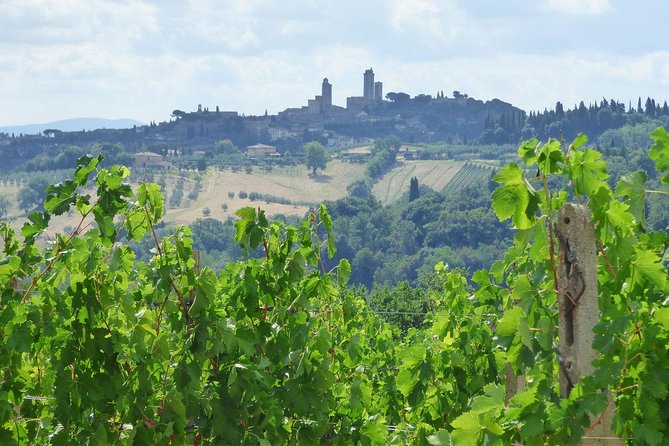 Gourmet Wine Tour San Gimignano Wine Tasting - San Quirico Winery - Tour Information Details