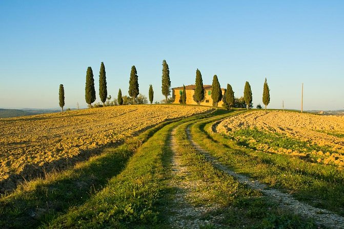 Livorno Shore Excursion: Chianti and Tuscany Countryside Private Wine Tour - Customer Reviews and Testimonials