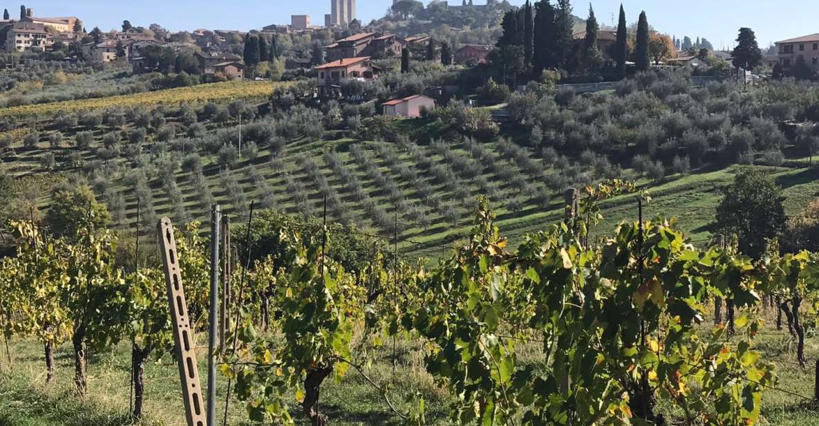 Lucca Private Day Tour to Chianti and San Gimignano - Itinerary