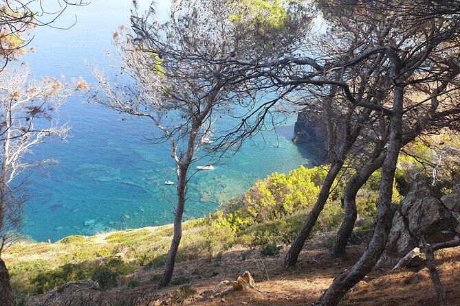 Naturalistic Excursion to Ustica - Accessibility Information