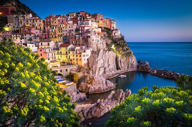 Private Cinque Terre & Pisa Day Trip From the Port of Livorno - Recommendations and Memorable Moments