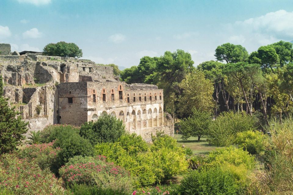 Private Full Day Tour Sorrento Coast and Herculaneum by Van - Final Words