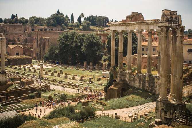 Skip the Line Colosseum, Roman Forum and Palatine Hill Guided Tour - Price and Booking