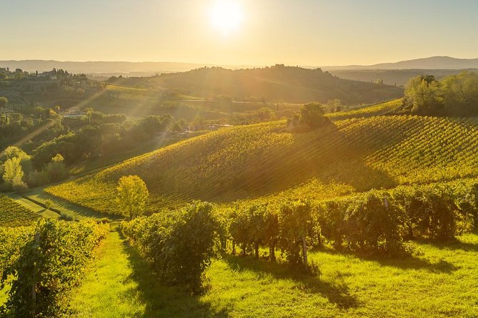 Tuscan Chianti Hills Horseback Riding Tour - Safety Information