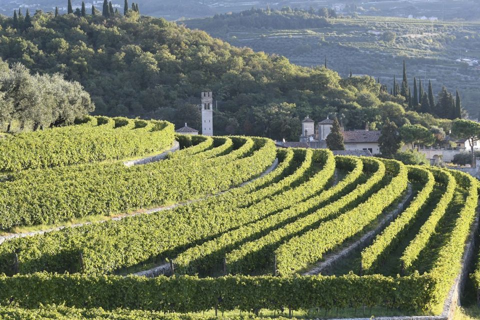 Veneto: Amarone Cooking and Tasting Experience in a Villa - Cancellation and Reservation