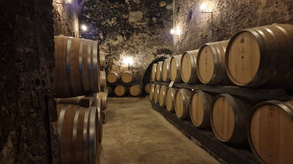 Wine Tasting in Montepulciano Tuscany Private Tour From Rome - Inclusions