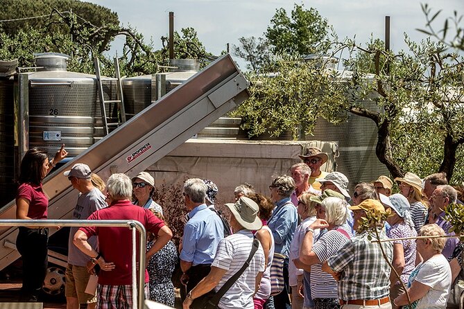 Wine Tasting on the Slopes of Vesuvius From Naples With Lunch - Transportation Logistics