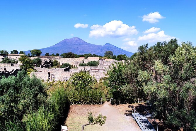 2 Hours Private Tour in Pompeii With Archaeologist - Booking and Refund Policy