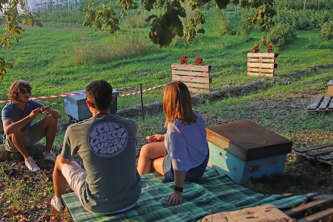 Beekeeping Farm Tour and Tasting Experience in Lazise - Farm Tour Experience Overview