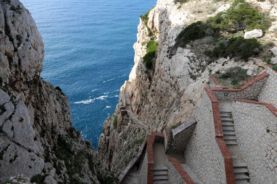 Cagliari: Full-Day Private Tour of Neptunes Grotto - Final Words