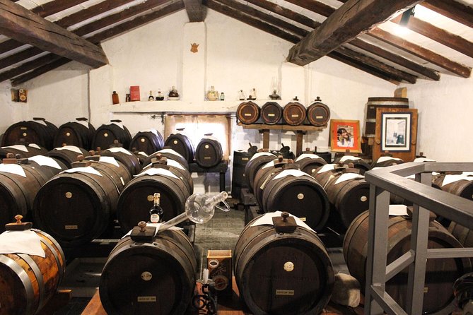 Enjoy a Private, Owner-Led Balsamic Vinegar Tour and Tasting in Vignola, Modena - Tasting Experience