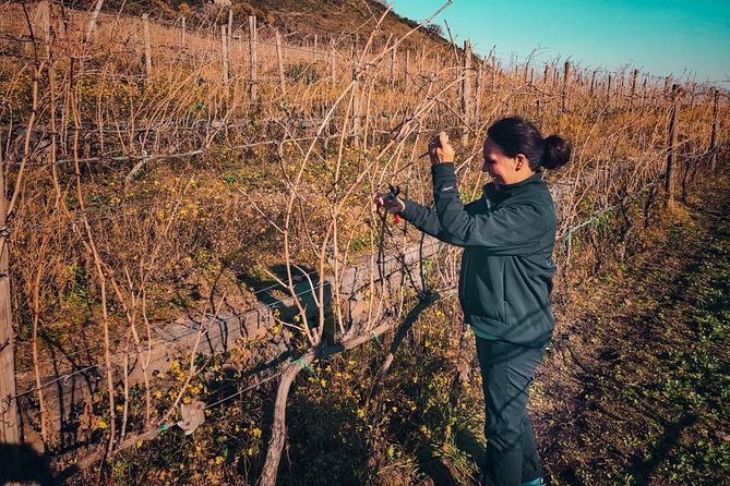 Etna Wine and Food Volcanic Day Tour - Private Experience - Menu Delights