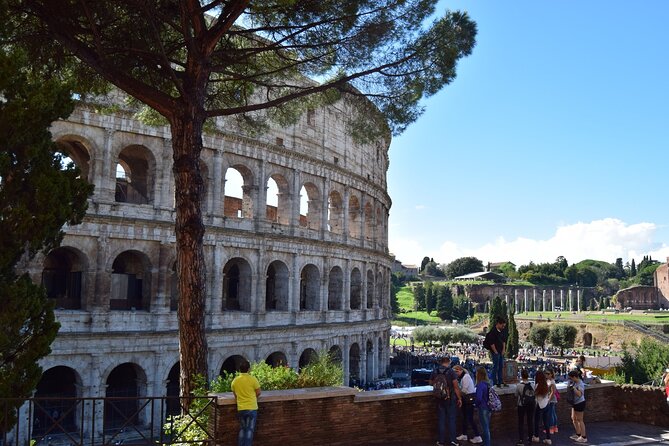 Express Entry to Colosseum, Roman Forum & Palatine Hill - Arrival Instructions