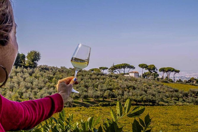 Frascati Wine Tasting Tour: The Flavors of the Roman Countryside - Additional Tour Information