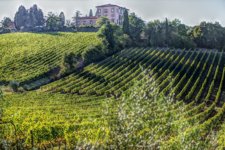 From Florence: Bolgheri Full Day Wine Tour - Directions