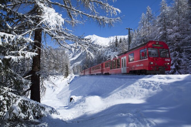 From Milan: St. Moritz and Panoramic Bernina Express Tour - Important Requirements