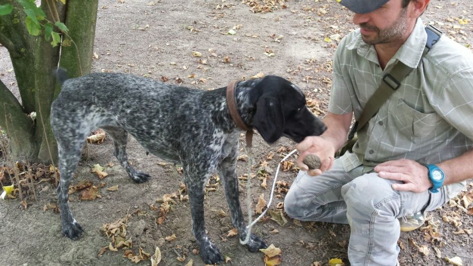 From Turin: Half-Day Truffle Hunting and Lunch in Piedmont - Tour Duration and Location