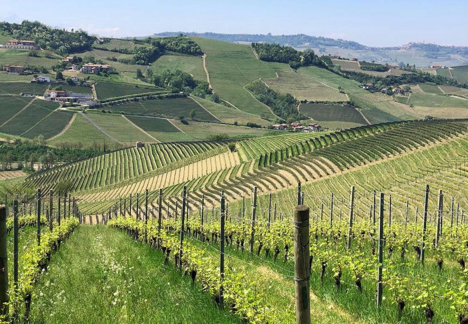 Full-Day Langhe Region Tour With Wine Tasting Experience - Booking and Cancellation Policy