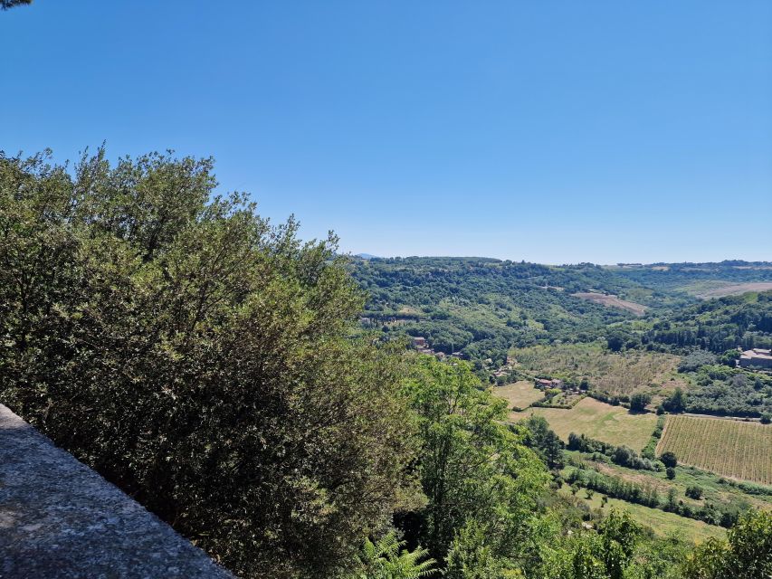 Orvieto the Etruscan City Private Tour From Rome - Highlights