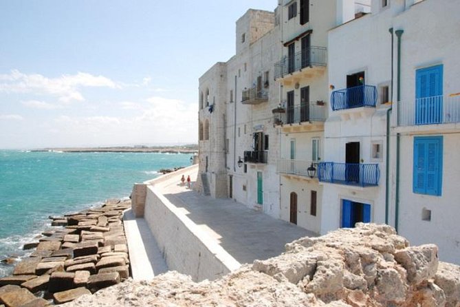 Private Guided Tour in Monopoli: Walking Through the Old Town - Visitor Experiences