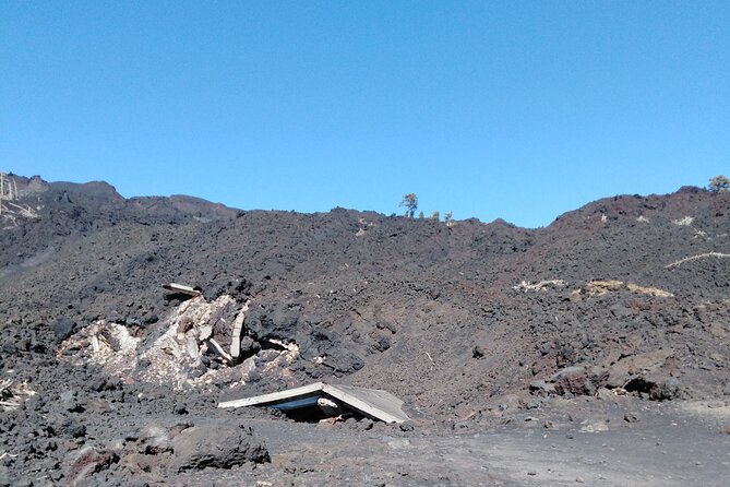 Private Tour of Mount Etna With Etna Doc Wine Tasting - Tour Guide and Winery