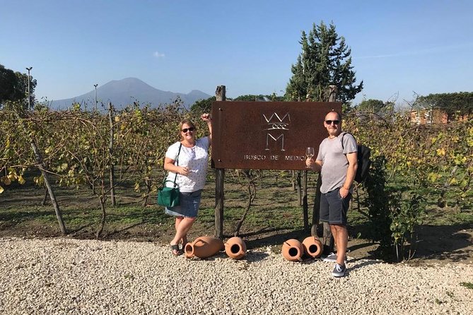 Private Tour of Pompeii Ruins + Organic Wine and Lunch Tasting - Location and Address