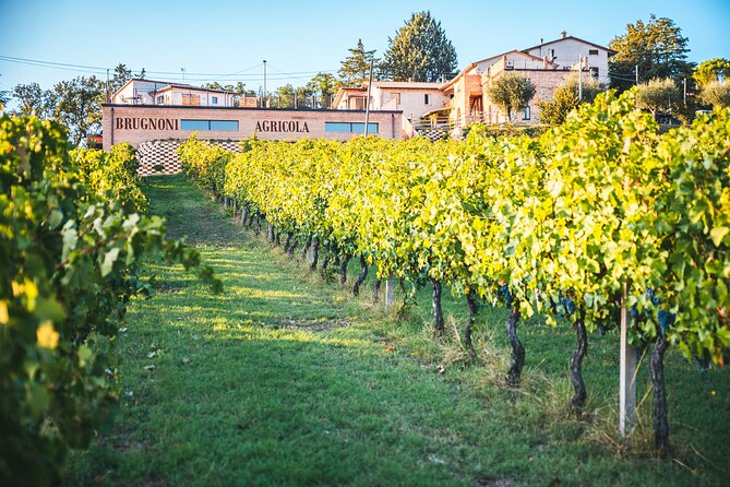 Private Visit to the Brugnoni Winery With Tasting of 4 Wines - Recommendations From Visitors