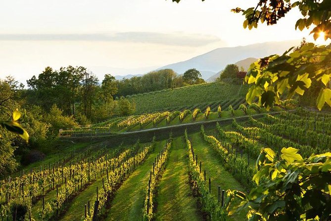 The Original Private Prosecco Tour All Inclusive From Conegliano - Cancellation Policy