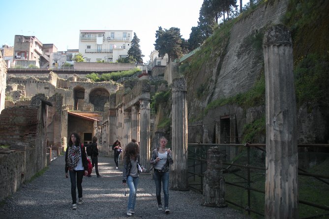 Tour in the Ruins of Herculaneum With an Archaeologist - Review Ratings