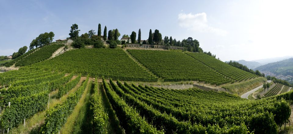 Turin: Private Barolo Wine Region Day Trip With Lunch - Frequently Asked Questions