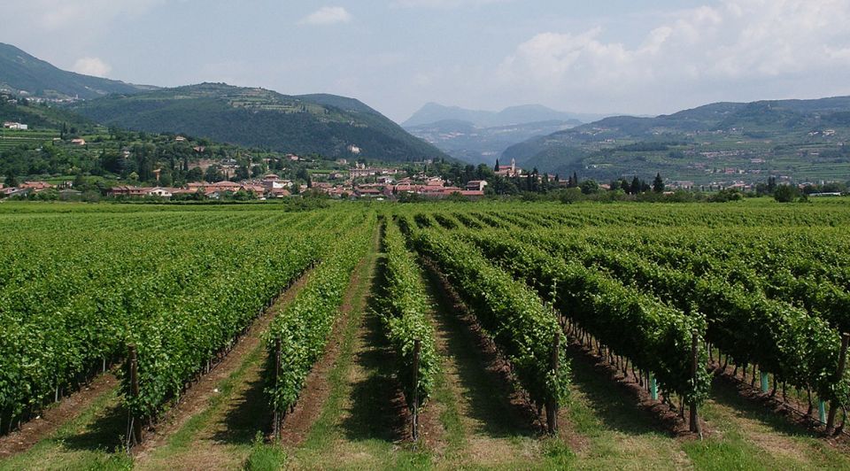 Veneto: Amarone Cooking and Tasting Experience in a Villa - Inclusions