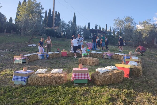 2-Hour Private Guided Activity Discovering Bees in Volterra - Badge of Excellence