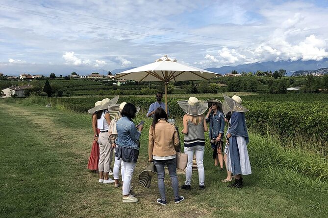 Bardolino Wine Experience - Maximum Group Size and Languages