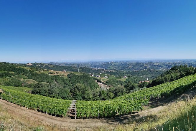 Barolo&Barbaresco Wine Tour With a Local Winemaker - Overall Rating & Reviews