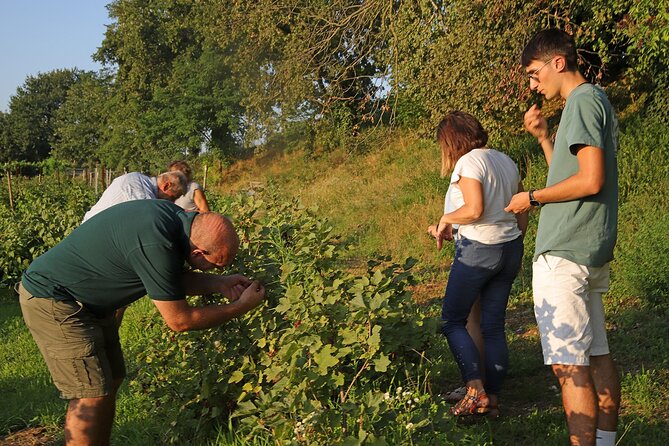 Beekeeping Farm Tour and Tasting Experience in Lazise - Directions and Location Details