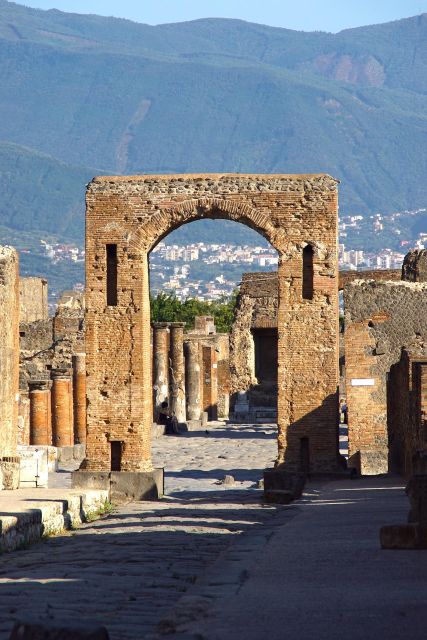 From Paestum:Pompeii Guided Tour With Wine Tasting and Lunch - Final Words